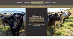 Desktop Screenshot of caledoniapacking.com